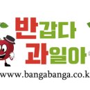 석이네야채.과일
