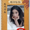롯데대구시리즈 이미지