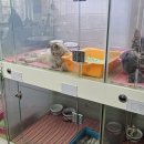 캣츠앤몬스터 이미지