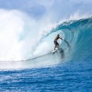 분당-402 이미지