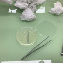 장균농장 이미지