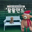 애견랜드 | 부산시청 실내 애견카페 '왈왈랜드' 방문후기