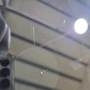 봉동자동차유리 이미지