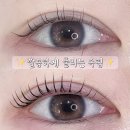 아튼빌 후문 | [성남 속눈썹펌 후기] 또렷틴트영양펌후기 (프리미엄펌)