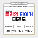 플라잉타이거태권도 이미지