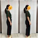 비뉴필라테스 - 원주시 양지뜰3길 19-1 | [비뉴필라테스] 원주체형교정 제대로 하는 곳 무실동필라테스 추천