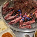우낀짬뽕 | 一. 갸라도스는 광필을 슬프지 않게 하려고 버텼다!