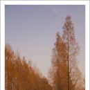 서울숲12 이미지