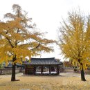 장수향교 이미지