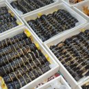 성불유치원 이미지