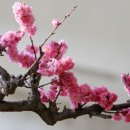 길목 이미지