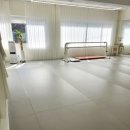 신정동성인발레 배운지 한달정도 된 목동예하발레학원후기