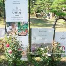 백암연세치과의원 이미지