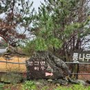 로그맨 하우스 | [제주도] 로그맨하우스 가성비 숙소,5만원대 독채 펜션,복층숙소