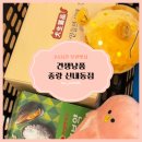 견생냥품 무인24시 서울 상계역점 | 무인펫샵 추천, 반려동물 물품이 가득한 애견용품점 &#39;견생냥품 중랑 신내동점&#39; 🐶🐱🏪