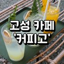 강원도 고성군 바다가 보이는 카페 &#39;커피고&#39; 후기
