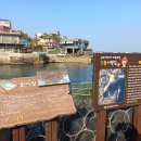 해파랑길 울산구간 9코스 일산해변-정자항 트레킹 #7 이미지