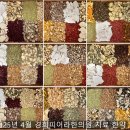 경희피어라한의원 이미지