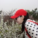 호수풍경속으로 이미지