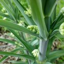 찬연농장 이미지