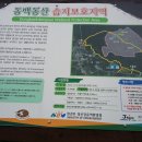 솔밭휴개소 Daum카페