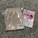꾸안꾸 데일리 룩 딱이야 온다유 아멜리아 쫀득 부츠컷 팬츠