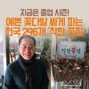 졸업 시즌! 예쁜 꽃다발 싸게 파는 `착한 꽃집` 이용해보세요 이미지