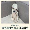 수유세탁 | 알프레미오 메쉬 수유시트 내돈내산 실사용 후기, 활용법, 세탁법