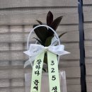 초앤초 | 2023년 1월 마지막 주