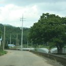 제주서이 이미지