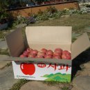 너울농장 이미지