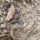 민재농장 이미지