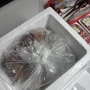 나매뒷집 이미지