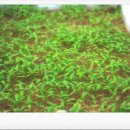 덕암농원 이미지