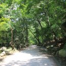 용문사 일주문 이미지