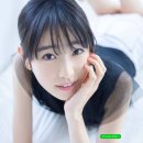 히카루 티스토리