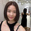 강세정 카카오 검색결과