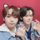 비티우리 Daum카페