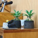 꼬꼬마, 가자 박물관으로(상반기) | 겨울, 제주