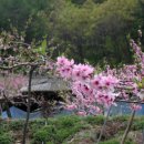 사곡2리 이미지