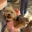 비커밍스튜디오 이미지