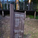 밤나무쉼터 | 대전 보문산 큰나무 전망대 야경 후기, 밤 드라이브로 좋았던 데이트 코스