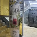 연남동 카페 [타만 디 우다라] 루프탑 있는 예쁜 카페 방문한 내돈내산 솔직 후기