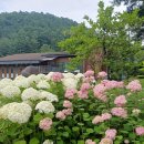 산림기술사사무소온숲 | 국립유명산자연휴양림 100% 즐기기, 숲길 산책부터 자생식물원, 계곡, 산림복합체험센터까지