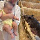 쥬 | 김포 아이랑 가볼만한곳 추천! 아쿠아카페 + 실내동물원 [쥬쿠아] 내돈내산 후기🦁🐟