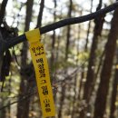 달마산[3](606m). 달마산[1](600m). 효자봉(554m). 비백산(산대봉 466m)/경북성주. 김천 이미지