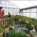 봉진농장 이미지