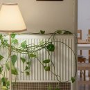 마이디어 민박 이미지