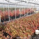 나무네농장 이미지