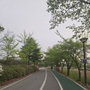 영랑호 동측 공중화장실 | 속초 러닝코스 추천｜영랑호 한바퀴 걷기 좋은 산책로